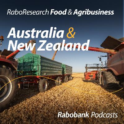 Global grain & oilseed wrap-up with RaboResearch Global Strategist Steve Nicholson Global grain & oilseed wrap-up with RaboResearch Global Strategist Steve Nicholson