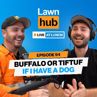 Buffalo or Tiftuf for Dogs? | Lawnhub Live EP94