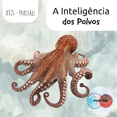 A Inteligência dos Polvos