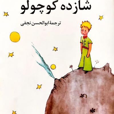 شازده کوچولو🤴.16, سیّاره هفتم- زمین🌏