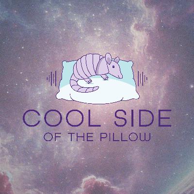 Season 4 Episode 3 (Not Without My Podcast)