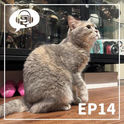 EP 14 樹在讀樹店樹信
