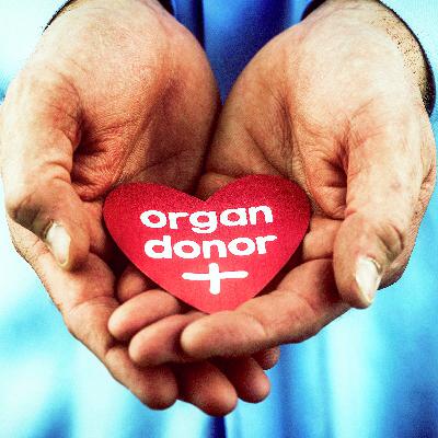 The kidney was just the beginning: Unexpected gifts after transplants The kidney was just the beginning: Unexpected gifts after transplants