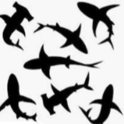 5 Things You Should Know About Sharks