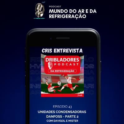 #43 - Cris Entrevista - Dribladores da Refrigeração (com Davigol e Mister) Danfoss Brasil - Parte 2