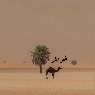 “ السهو عن الصلاة “