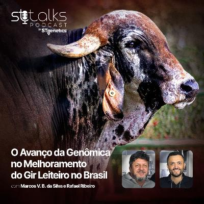 STtalks #308 - O Avanço da Genômica no Melhoramento do Gir Leiteiro no Brasil com Marcos V. B. da Silva e Rafael Ribeiro