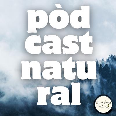 #6 Regals per a gent que escriu —amb les recomanacions de les nostres expertes #6 Regals per a gent que escriu —amb les recomanacions de les nostres expertes