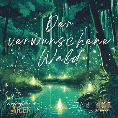 Entspannungsgeschichte: Der verwunschene Wald Entspannungsgeschichte: Der verwunschene Wald