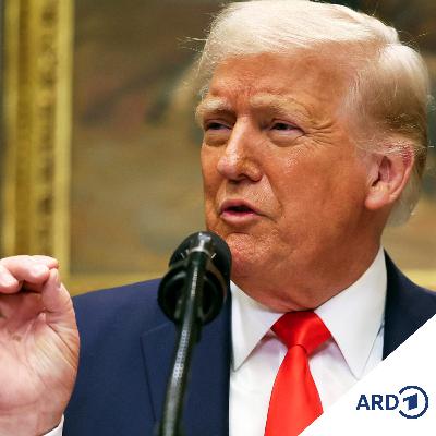 Scheiß drauf. Eine Geschichte des Regelbruchs von Adam und Eva bis Donald Trump