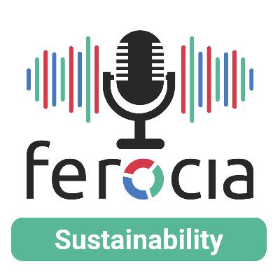 Sustainability - De rol van financials bij sustainability