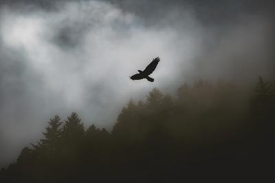 Ep.42-Death From Above