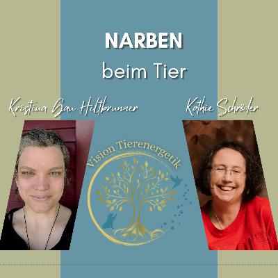 No. 37 Narben beim Tier - Das unsichtbare Störfeld No. 37 Narben beim Tier - Das unsichtbare Störfeld