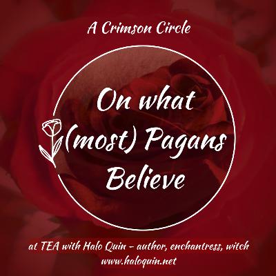 Interview Series: The other side of High School Soccer with Coach Christopher Helton.