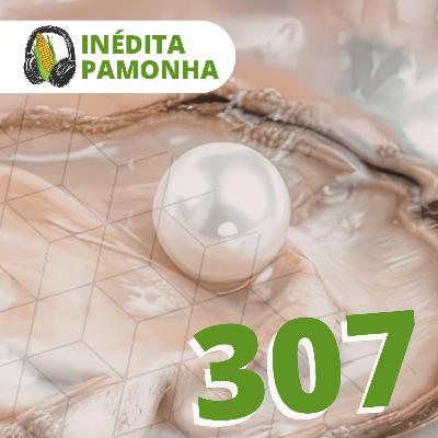 Inédita Pamonha 307 - Pérola de Grande Valor Inédita Pamonha 307 - Pérola de Grande Valor