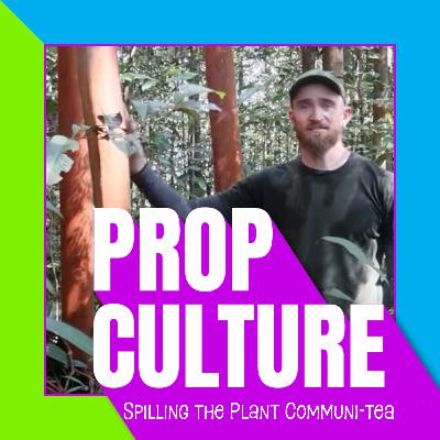 E04: Oxford's *uck-Up, AND An Interview With @BotanicalOtter (Colonialism in Plant Collecting?)