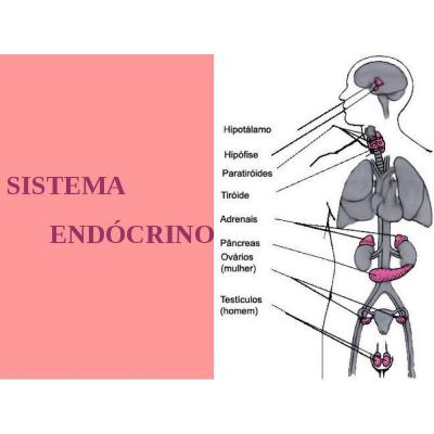 Fisiopatologia del sistema endocrino