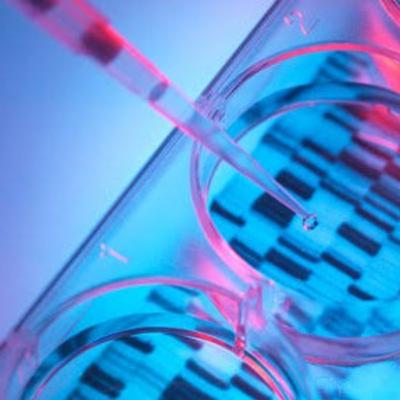 Human Genome Project