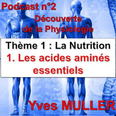 2. Les acides aminés essentiels