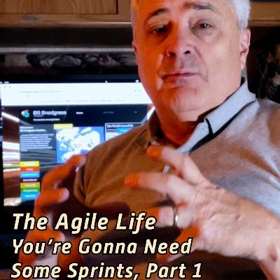 The Agile Life: You're Gonna Need Some Sprints, Part 1