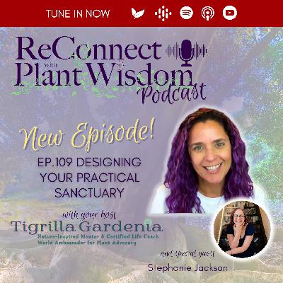 Ep.109 Designing Your Practical Sanctuary with Stephanie Jackson Ep.109 Designing Your Practical Sanctuary with Stephanie Jackson