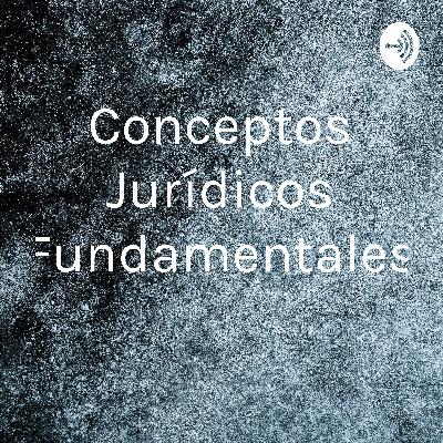 Conceptos jurídicos fundamentales 21-1