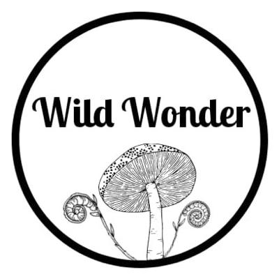 Wild Wonder E3 Jackdaw