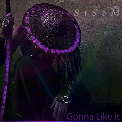 Gonna like it (STSAM mix 11.25)