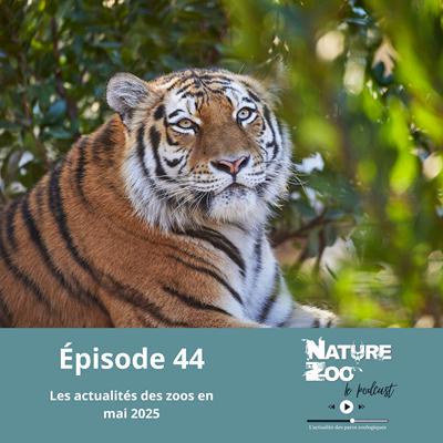 Épisode 44 (ACTU) - Les actualités en mai 2025