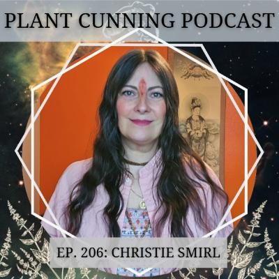 Ep. 206: Ayurveda, Mental, and Spiritual Health with Dr. Christie Smirl Ep. 206: Ayurveda, Mental, and Spiritual Health with Dr. Christie Smirl