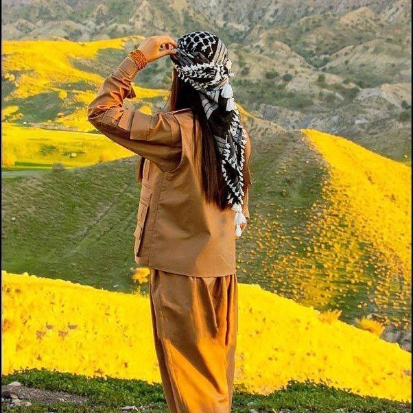 گەردن زەرد|نەجمەدین غوڵامی گەردن زەرد|نەجمەدین غوڵامی