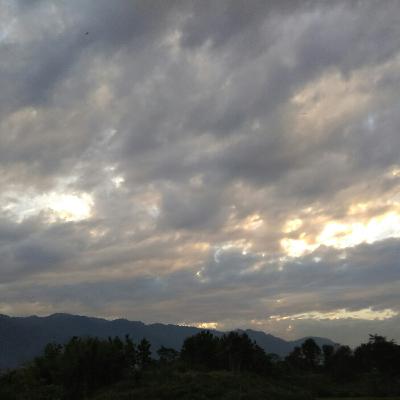 কবিতাৰ নামঃ বাজিকৰ, কবি তথা কবিতা পাঠঃ মায়াশ্ৰী দেৱী