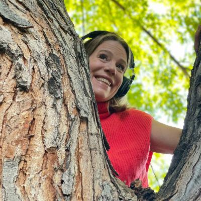 12. First season in review