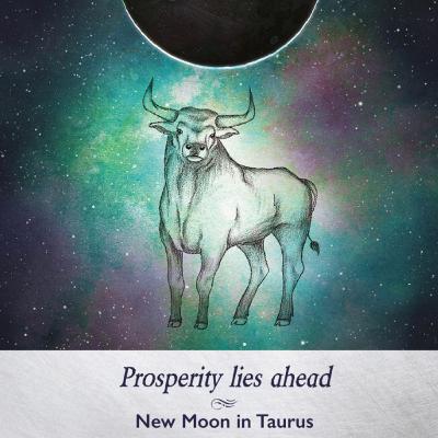 MOON PHASES and their spiritual meaning 🌑 NEW MOON in MAY energy guidance MOON PHASES and their spiritual meaning 🌑 NEW MOON in MAY energy guidance