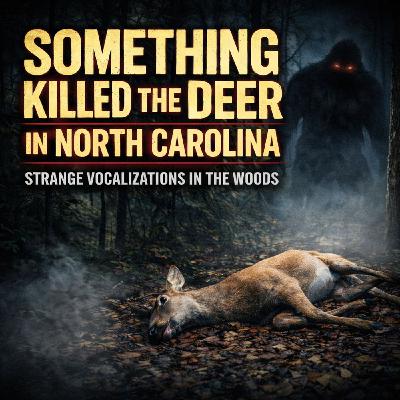 Something Killed a Deer in the Woods | Ray’s North Carolina Bigfoot Encounter Something Killed a Deer in the Woods | Ray’s North Carolina Bigfoot Encounter