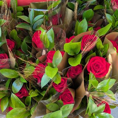Especial Sant Jordi 2025 Especial Sant Jordi 2025