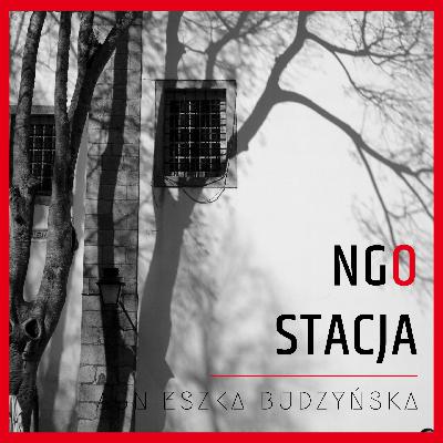 #98: Dlaczego trzeba wypełnić ankietę SOF-1 dla GUS?