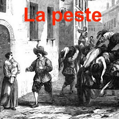 Promessi sposi 7 Promessi sposi 7