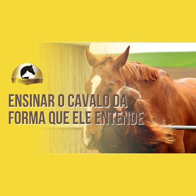 ENSINAR O CAVALO DA FORMA QUE ELE ENTENDE | Haras Stone #20
