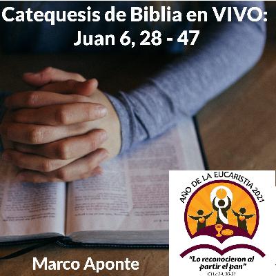 Catequesis de Biblia en VIVO: Juan 6, 28-47 | Marco Aponte