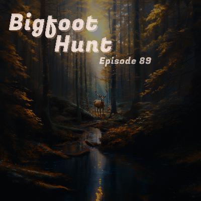 Bigfoot Hunt