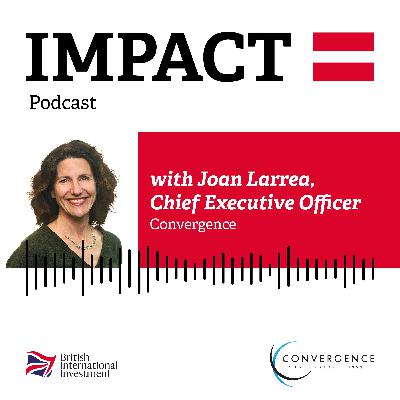 IMPACT = Using blended finance to increase private capital in emerging markets