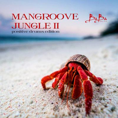 MANGROOVE JUNGLE v.2 | Positive drums edition