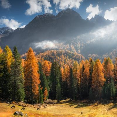 [여호와께서 아시는 독특한 날]슥14:1-8