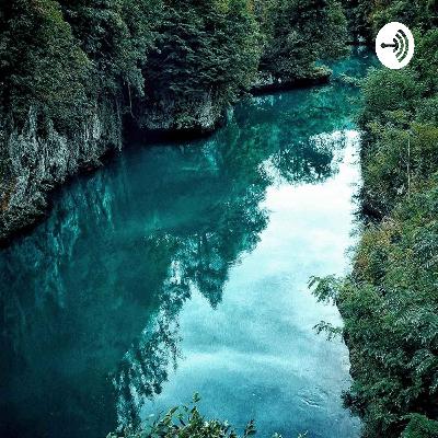 The structure of a comparison and contrast essay.