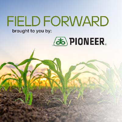 Field Forward: Vorceed® Enlist® Corn