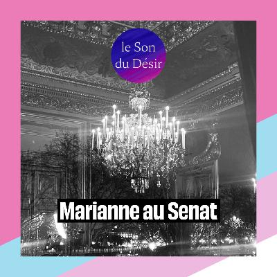 sexe et politique, soirée secrète : Marianne au Sénat (histoire érotique)