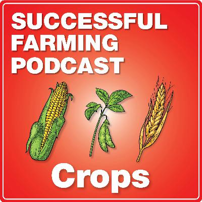Testing for Trouble: Stalk Diseases and Yield Loss in Corn
