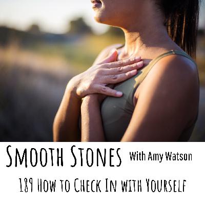 189 How to Check in with Yourself