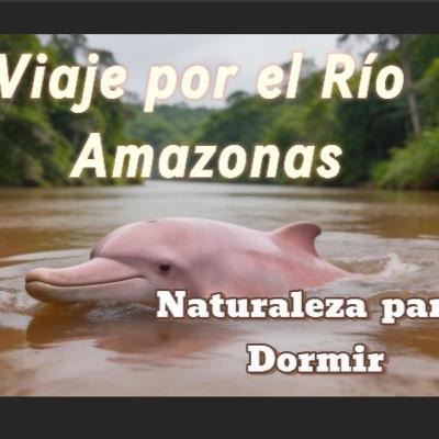 Amazonas y la Vida en la Selva | Documental Relajante para Dormir